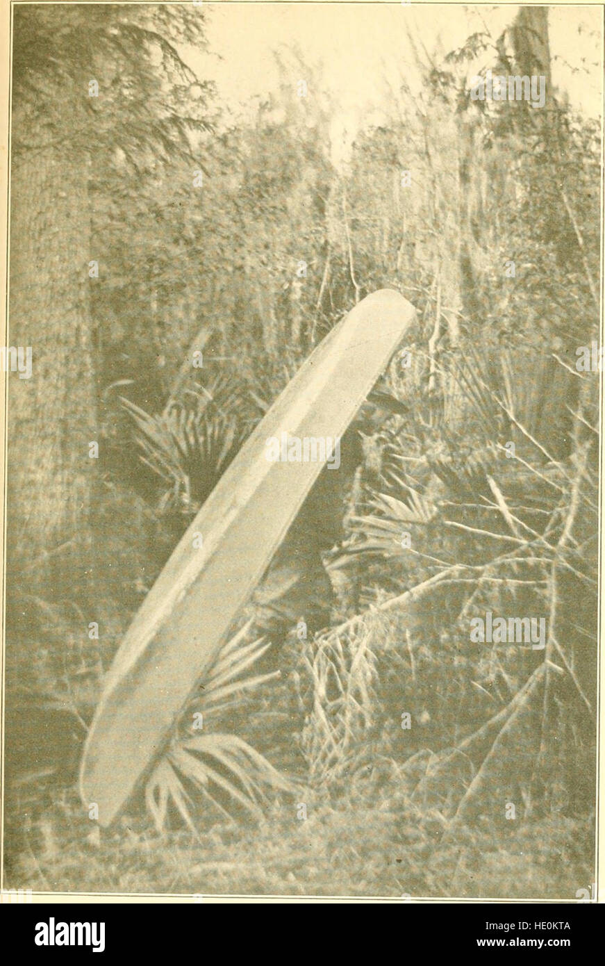 *The Fountain of Youth* (1914) presents the legendary tale of a ...