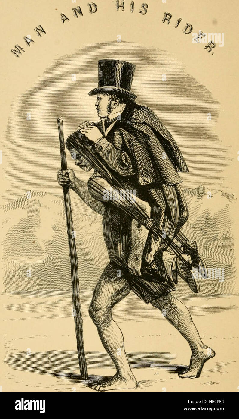 'The Horse and His Rider' (1861) is a book that explores the ...