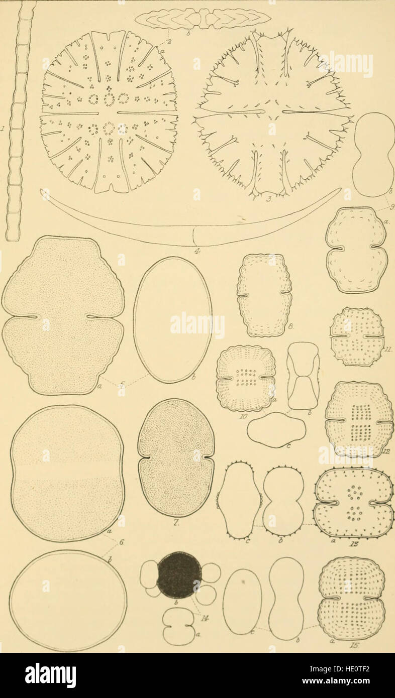 Annals of Scottish natural history Stock Photo Alamy