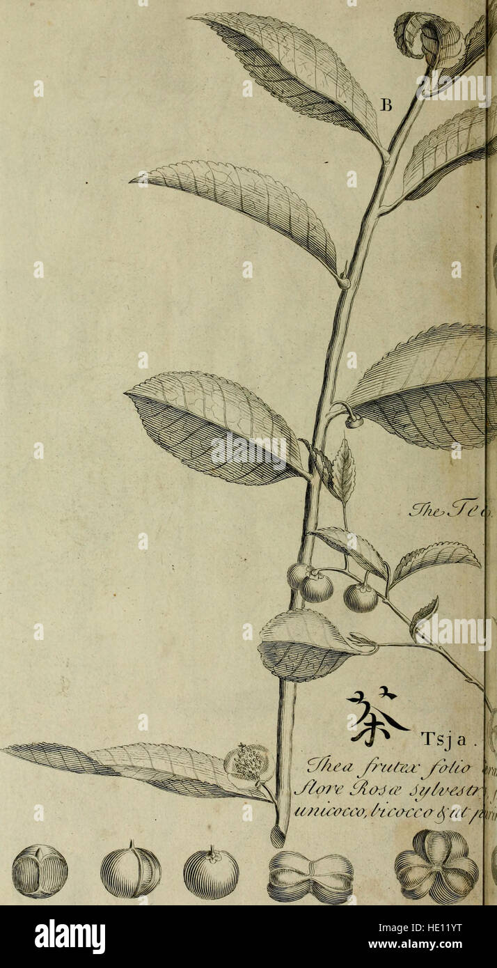 Japan Knowledge This work offers a comprehensive history of Japan, from its ancient ...