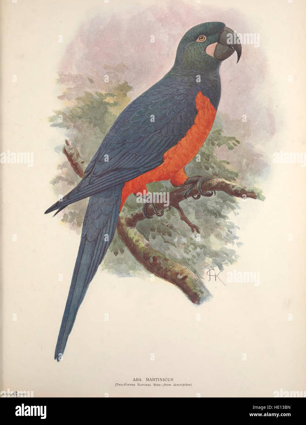This work provides a detailed account of birds that became extinct ...