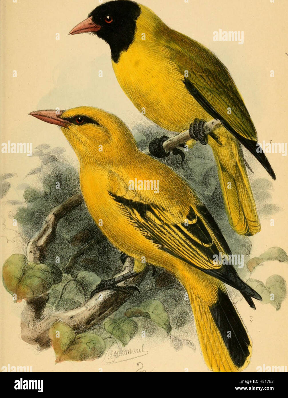 This painting, 'The Ibis' (1870), is a depiction of the iconic bird ...
