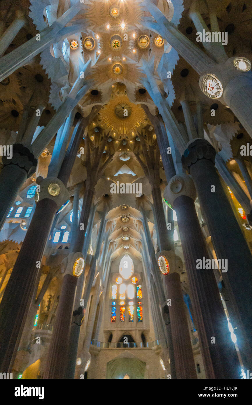 The columns of the inside of the Sagrada Familia, designed by Gaudí, in ...