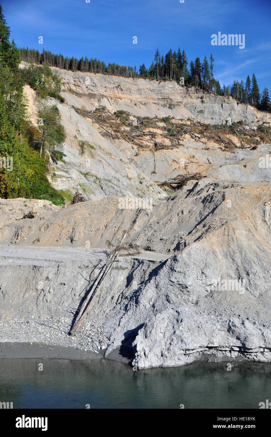 West margin of the 2014 Oso landslide, Snohomish County, Washington, USA Stock Photo