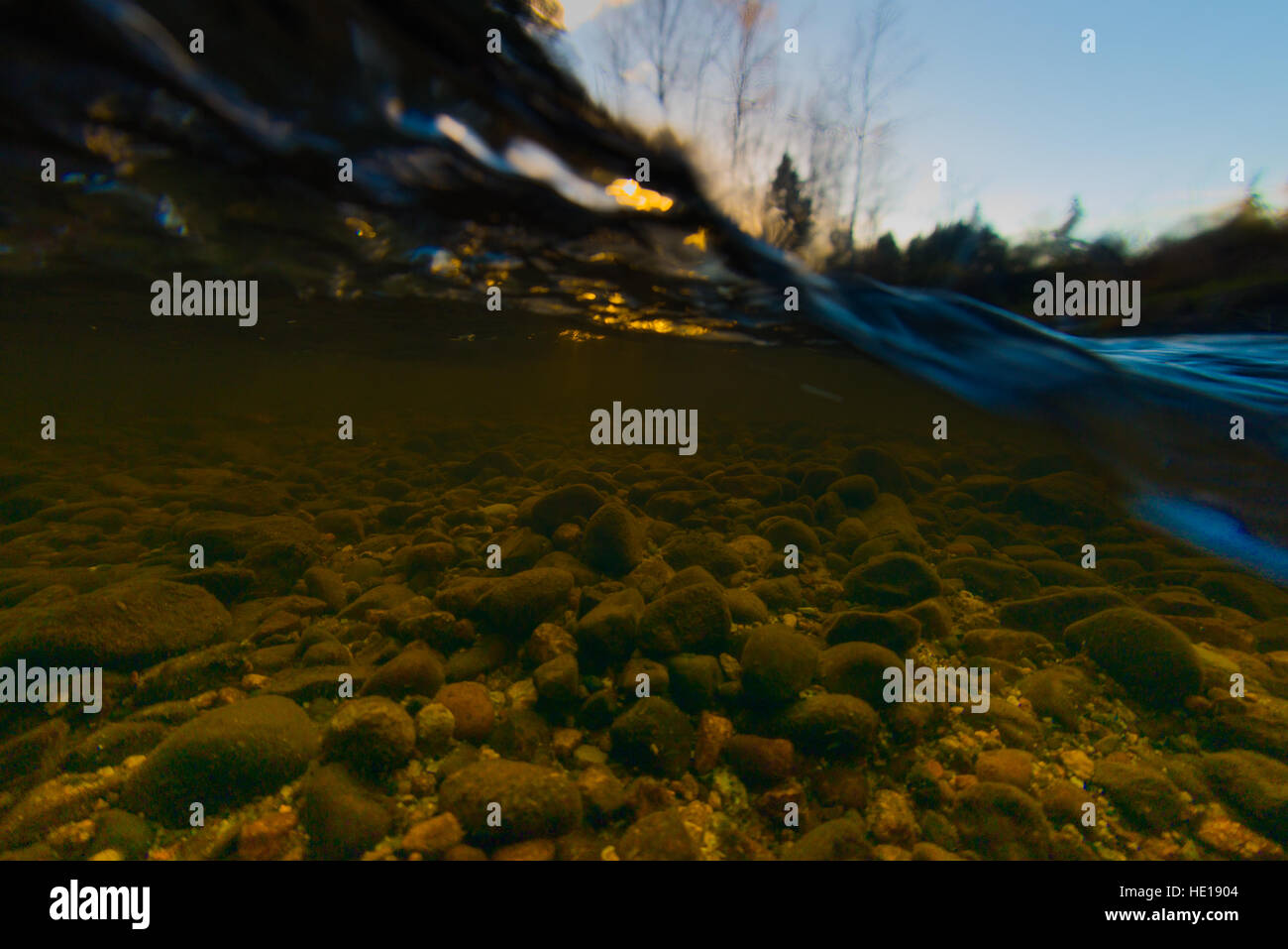 Spit level shot of Brunette creek in Burnaby British Columbia Stock Photo