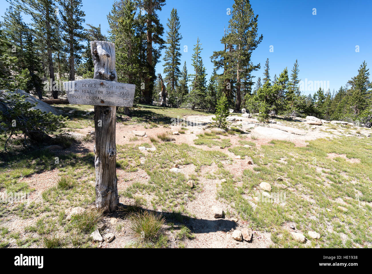 Direction indicator in Sierra National Forest, California, United States of America, North America Stock Photo