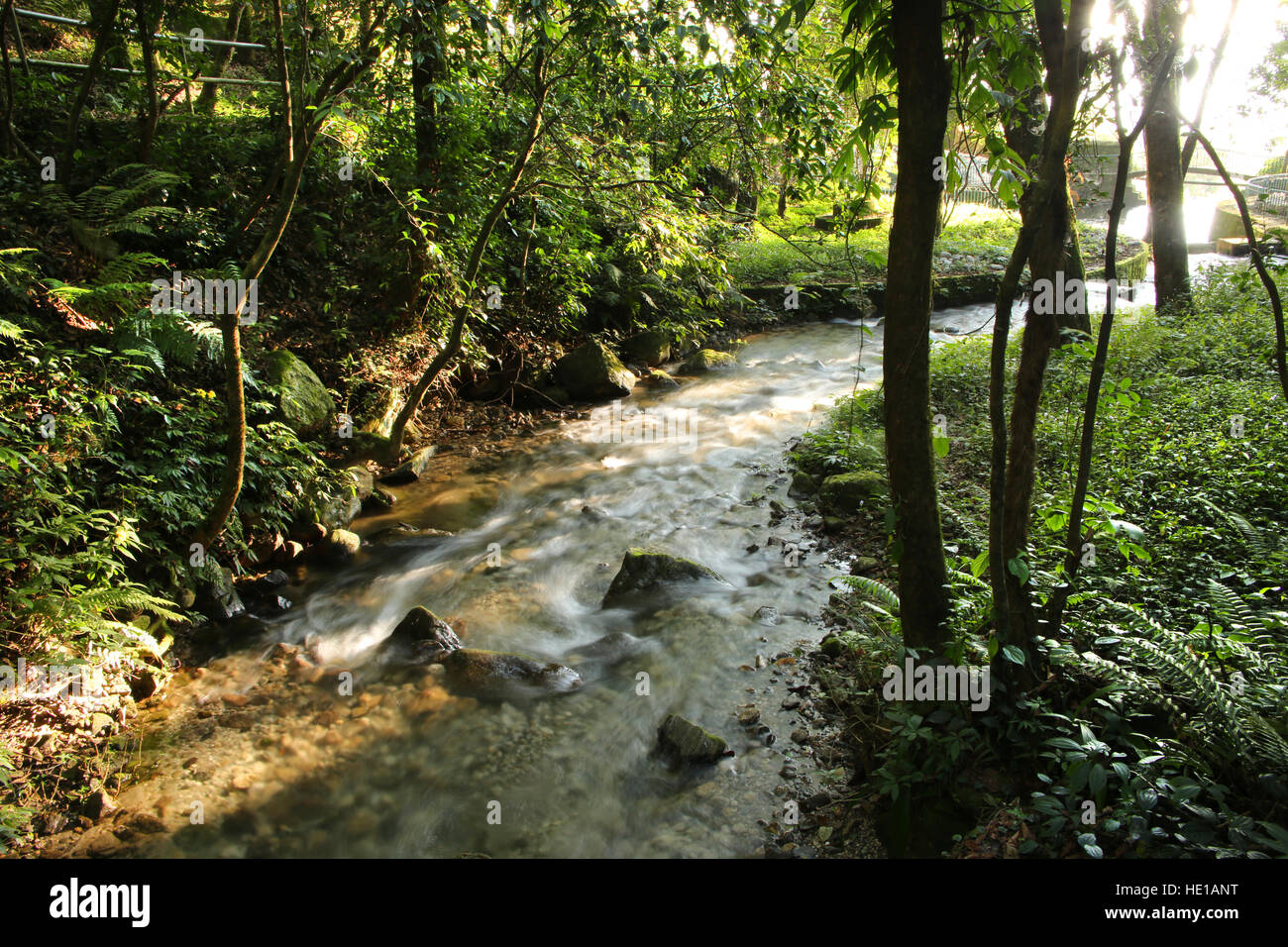 Small river or stream flowing through the forest, Shivapuri Nagarjun National park, Kathmandu, Nepal. Stock Photo