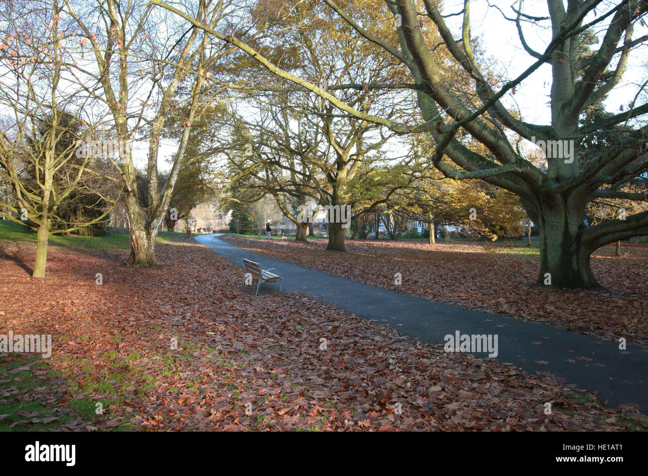 Town Park Harlow Essex UK Stock Photo