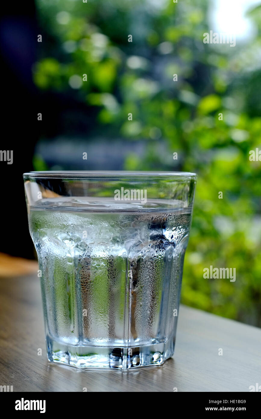 A Glass Full Of Cold Water With Green Leaves Stock Photo Alamy