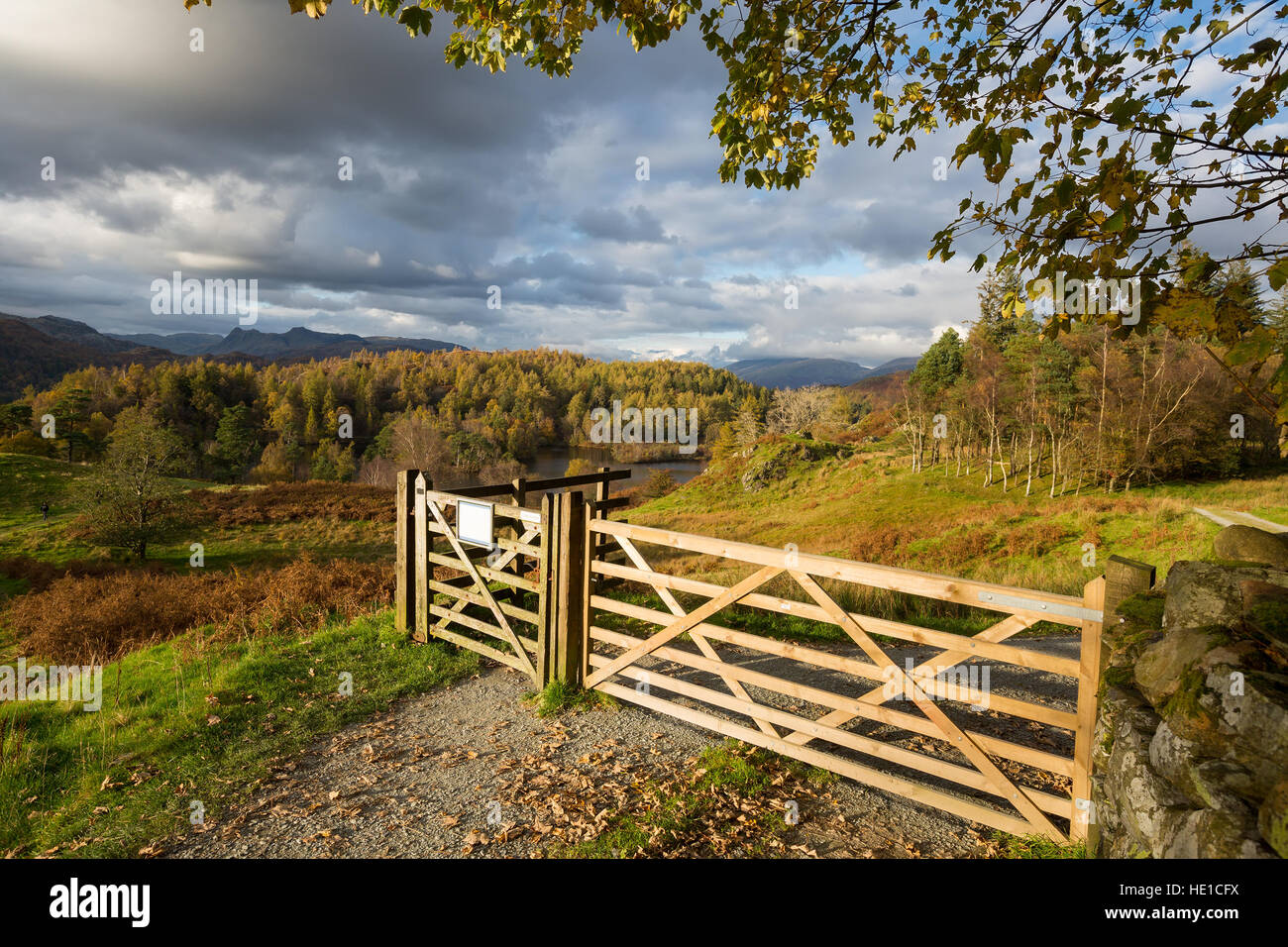 Wooden gateway in a beautiful rural setting at Tarn Hows, the Lake District, England. Stock Photo