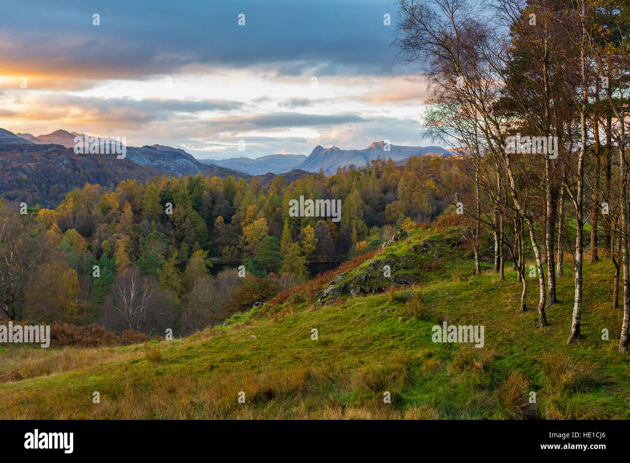 View from Tarn Hows towards the Langdale Pikes with the Sun Setting Stock Photo