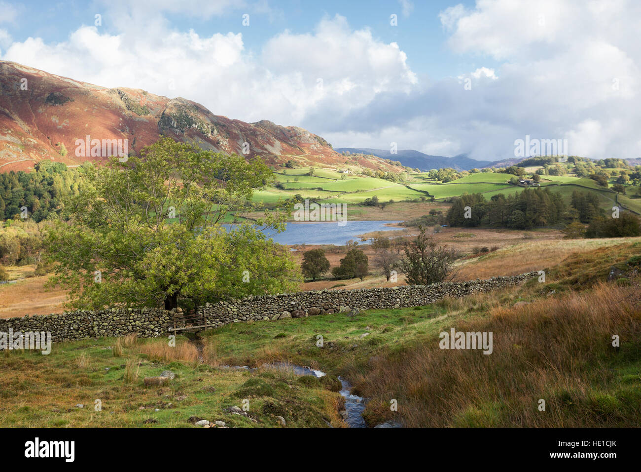 Rural landscape in Little Langdale, the Lake District, England. Stock Photo