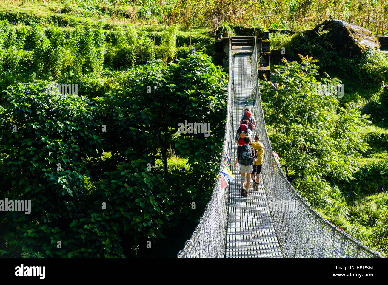 Trekkers are crossing a river valley on a steel suspension bridge Stock Photo