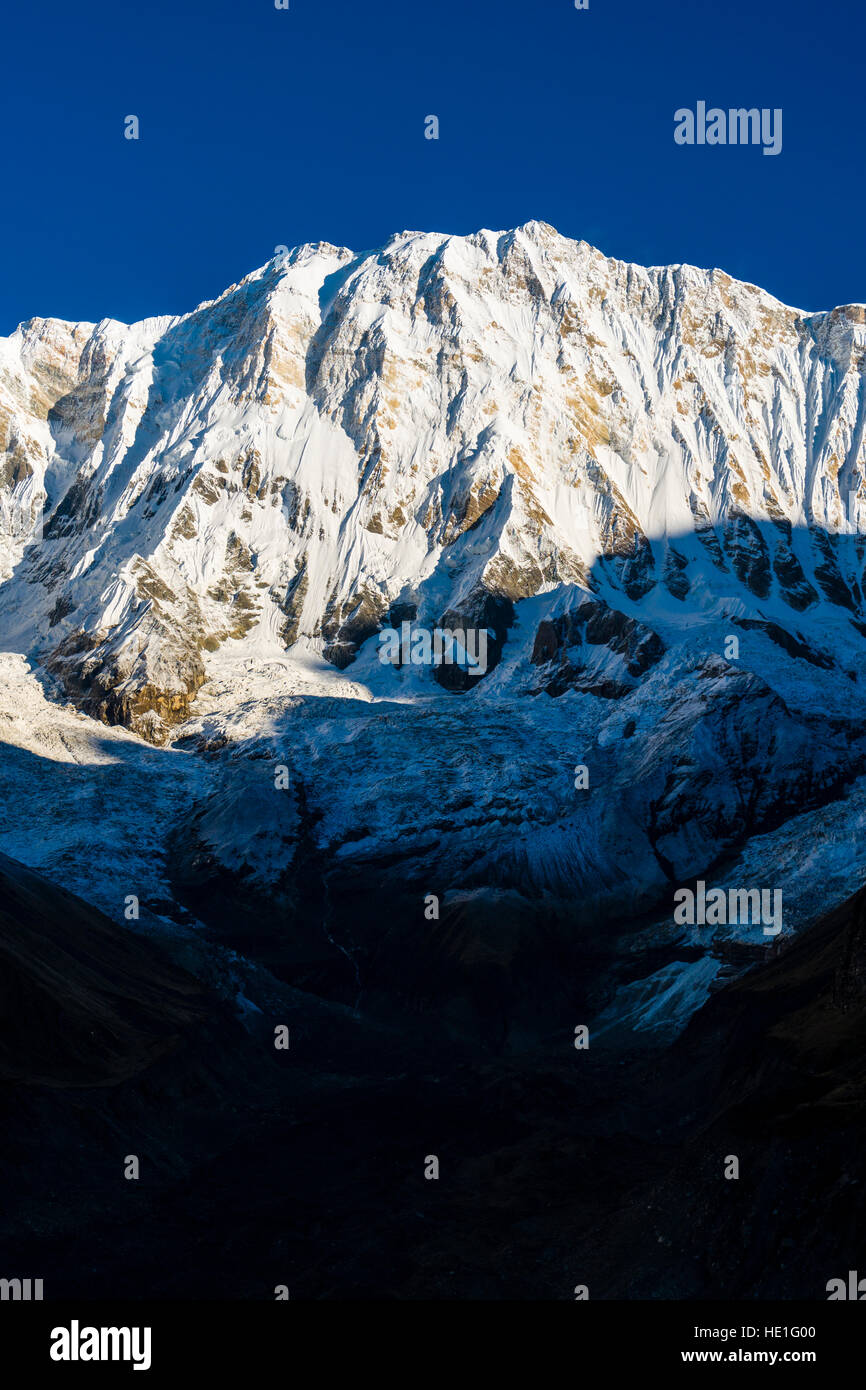 View of the snow covered Annapurna 1 North Face at sunrise Stock Photo ...