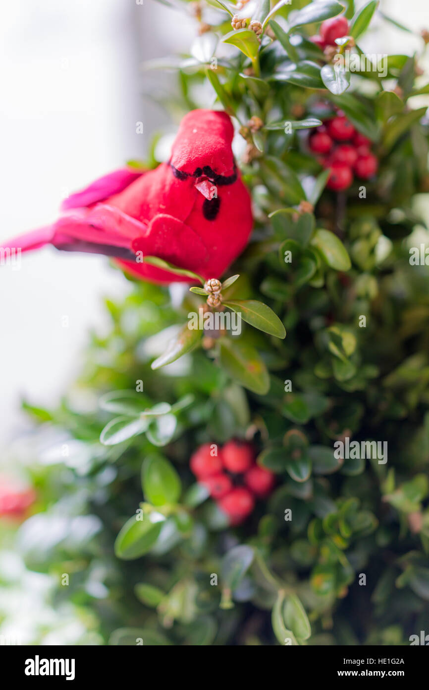 Red cardinal bird decoration on holiday tree Stock Photo