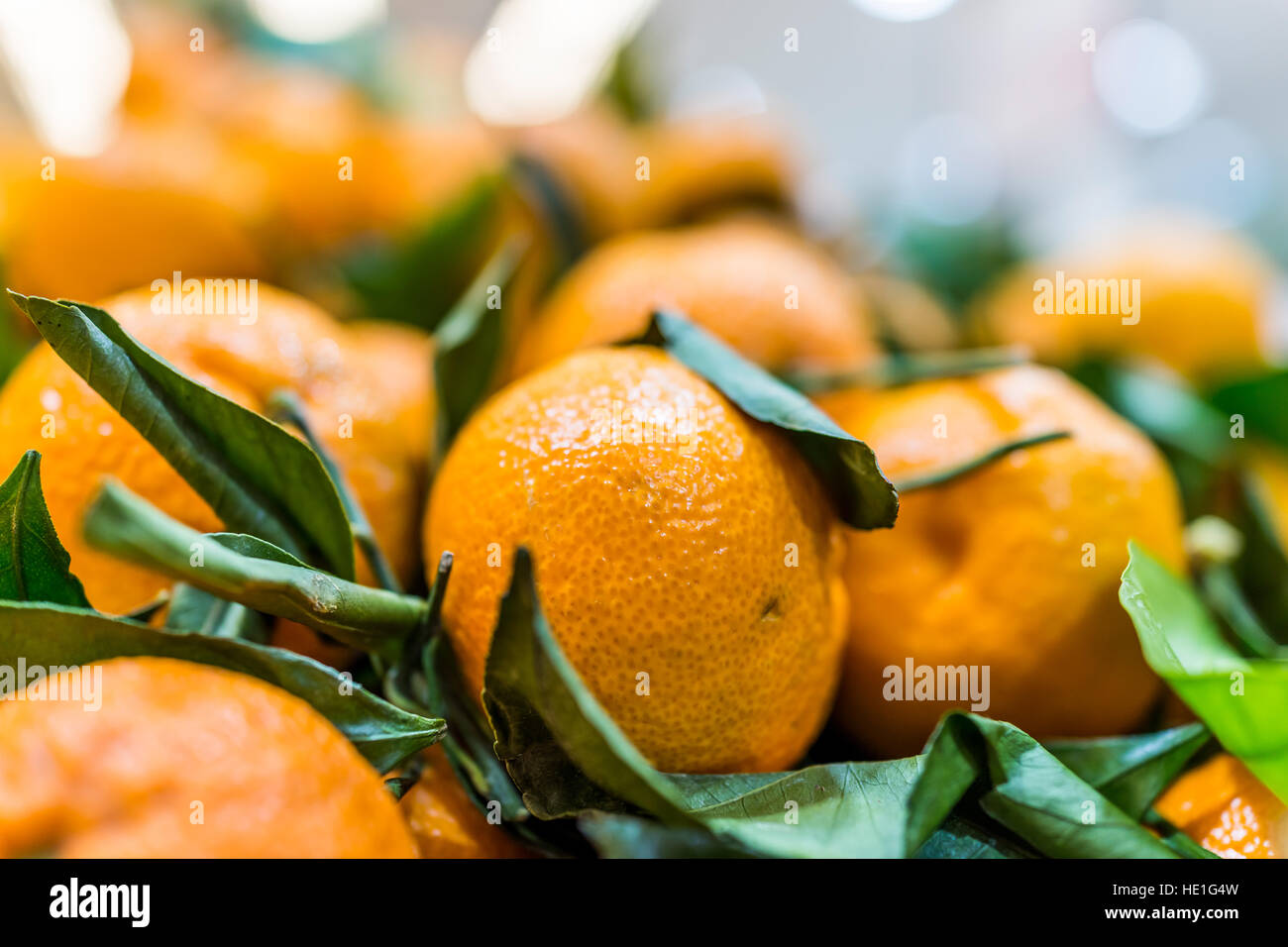 Green satsuma hires stock photography and images Alamy