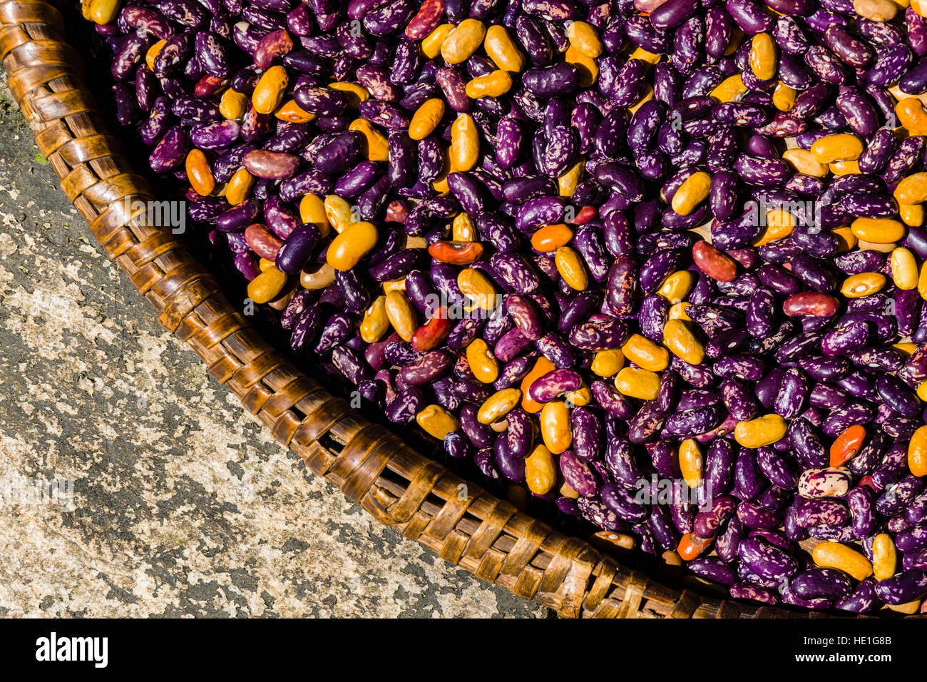 Yellow and purple beans are drying in the sun on a braided plate Stock Photo
