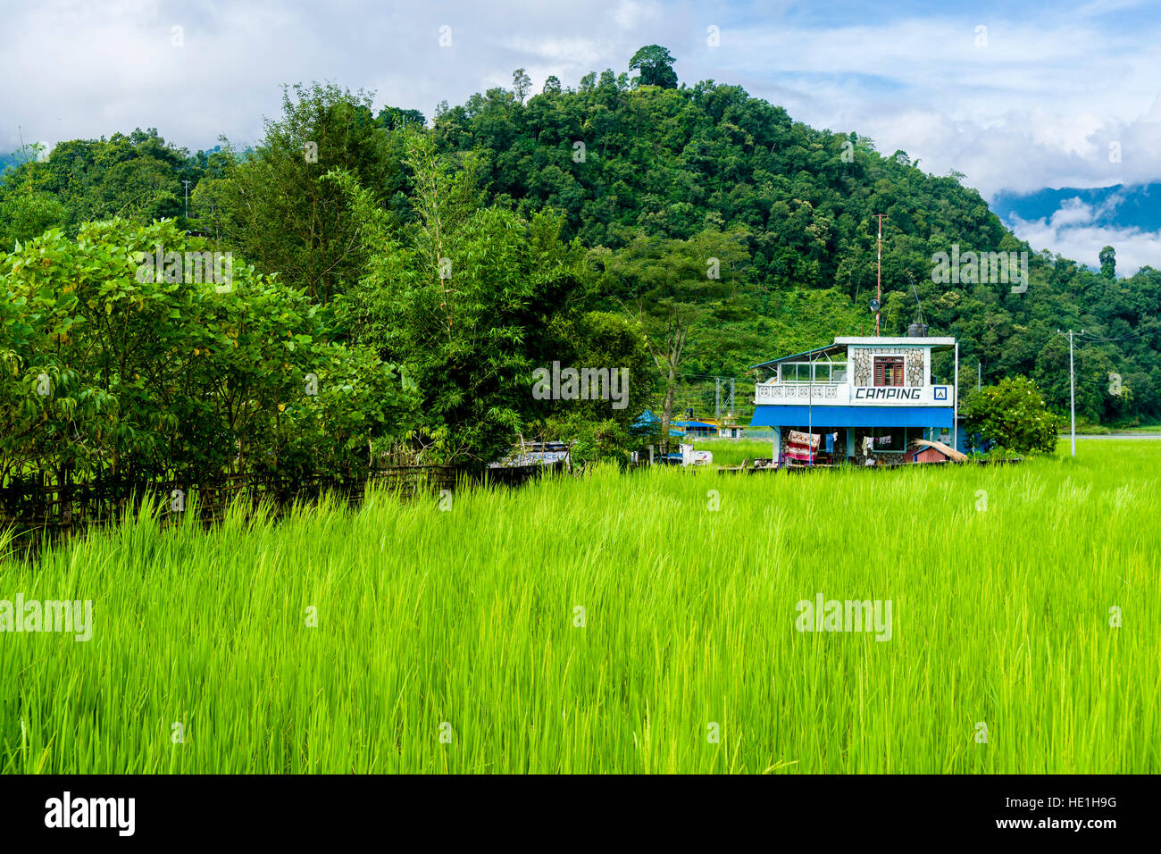 Agricultural landscape with green rice fields and the building of the camping ground in Harpan Khola valley Stock Photo