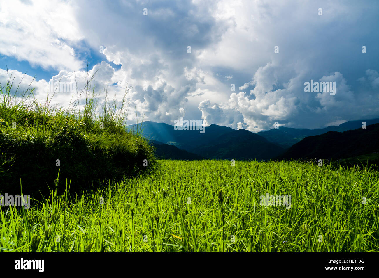 Agricultural landscape with green millet terrace fields and dark thunderstorm clouds in Upper Harpan Khola valley Stock Photo