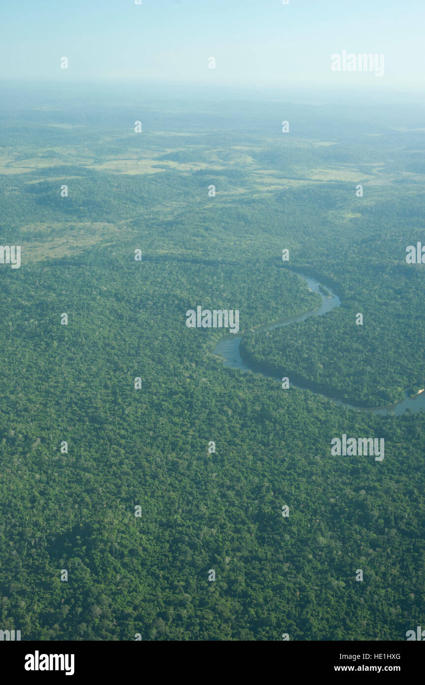 Aerial view of the Brazilian Amazon forest, close to the city of Alta Floresta. Stock Photo