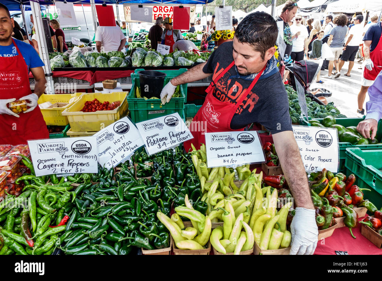 st pete farmers market vendors