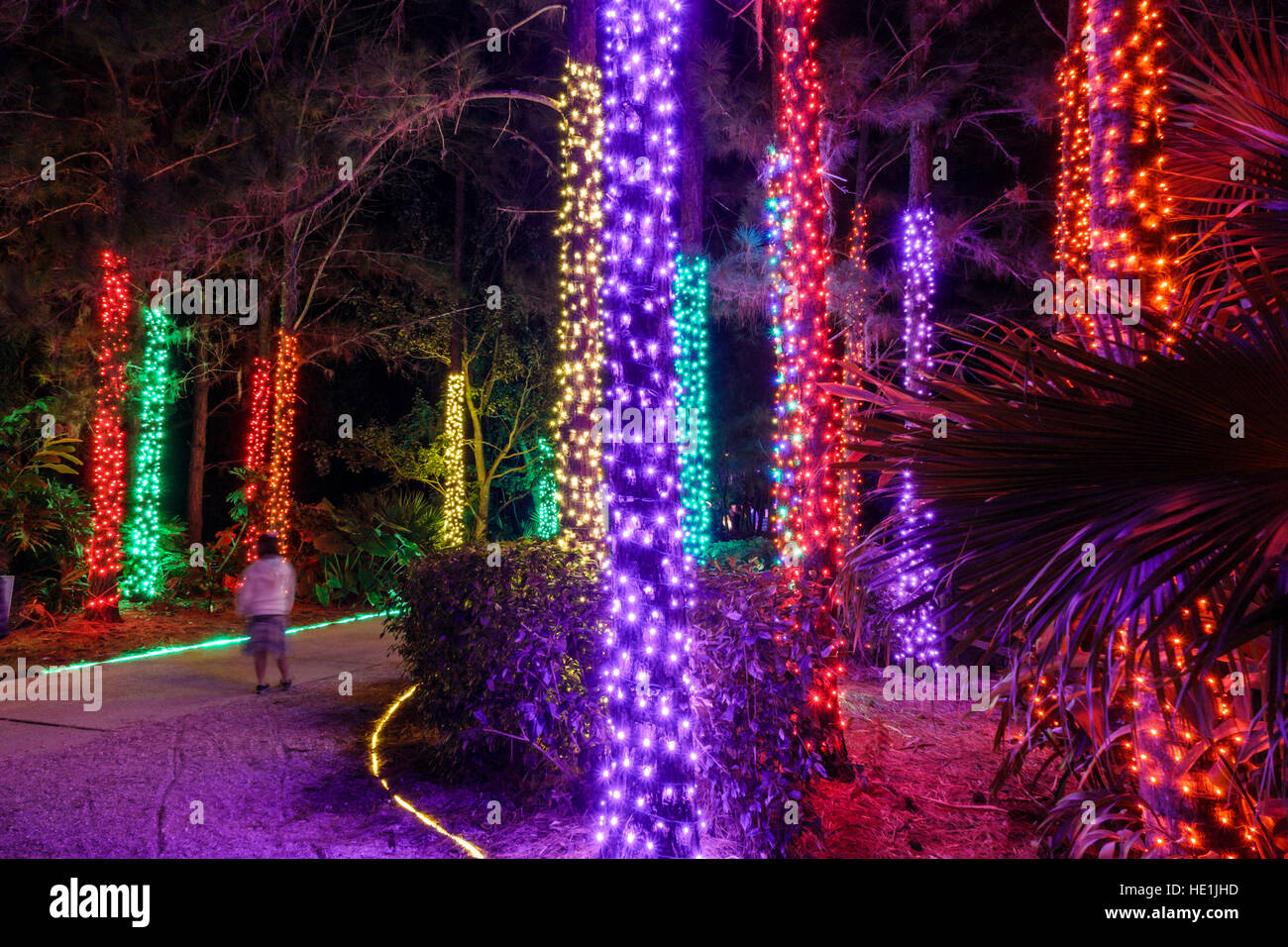 Largo Botanical Gardens Christmas Lights 2022 Florida,South,St. Petersburg,Largo,Florida Botanical Gardens,Holiday Lights ,Winter,Christmas,Display Sale Product,Night,Visitors Travel Traveling Tour  Stock Photo - Alamy