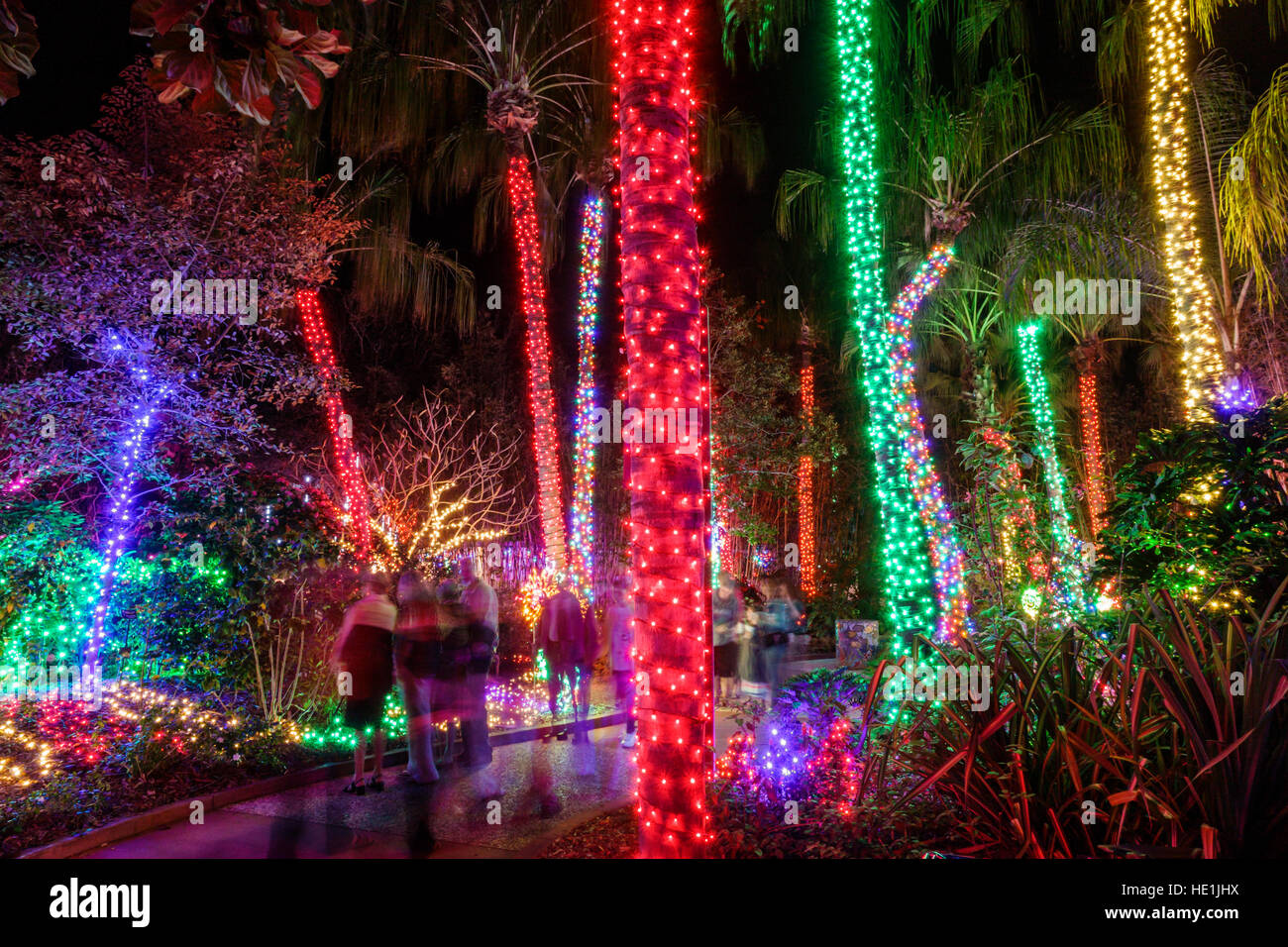 Florida, South, St. Petersburg, Largo, Florida Botanical Gardens Stock