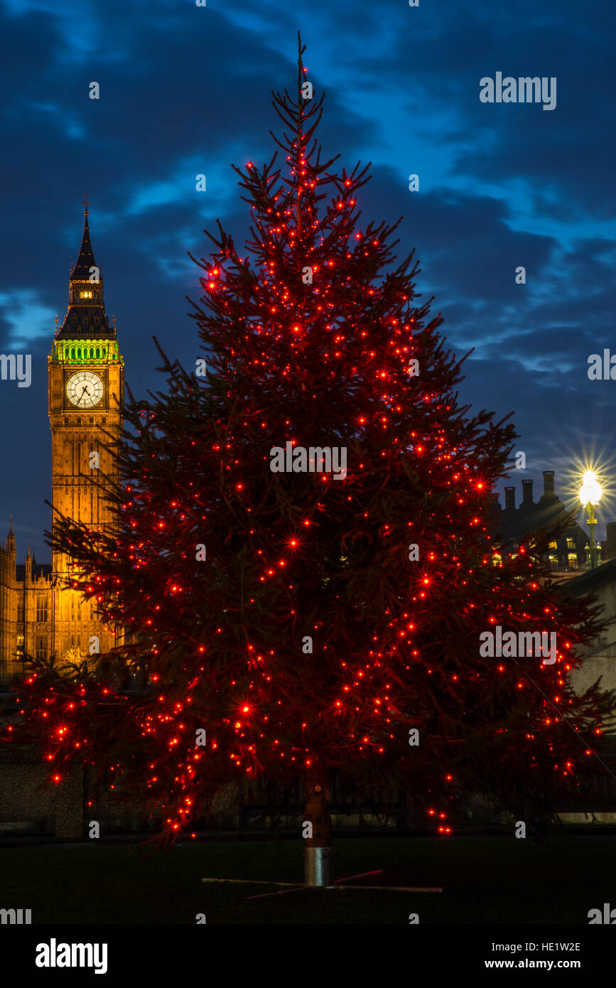 A view of a beautiful illuminated Christmas tree with the Elizabeth Tower of the Houses of Parliament in the background, London. Stock Photo