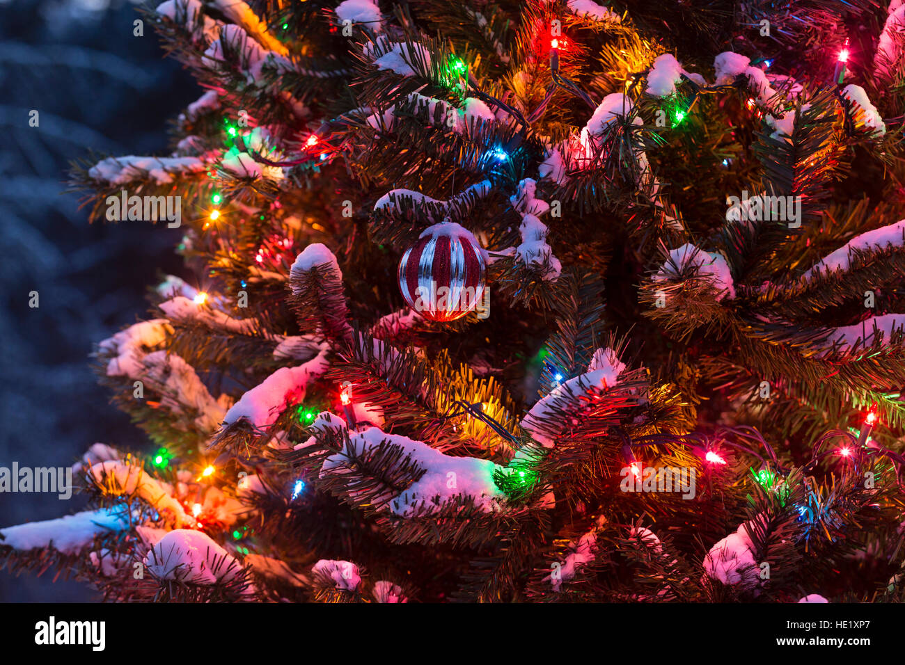 Christmas Ornament And Lights Hanging On A Snow Covered Tree Outside At Night Christmas Ornament And Lights Hanging On A Snow Covered Tree Outside At Night