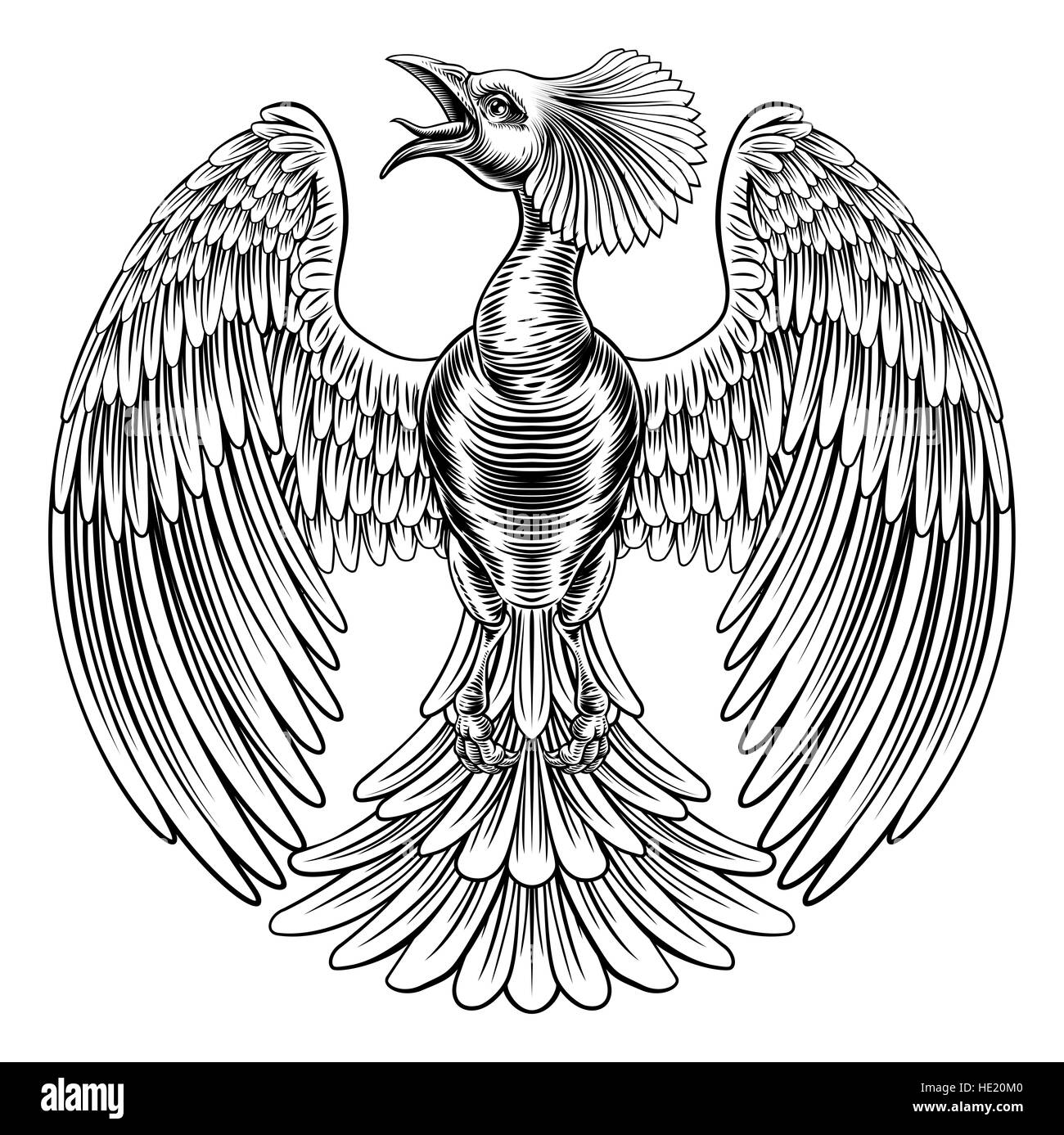 An original illustration of a phoenix fire bird or peacock in a vintage retro etched woodcut engraving style Stock Photo