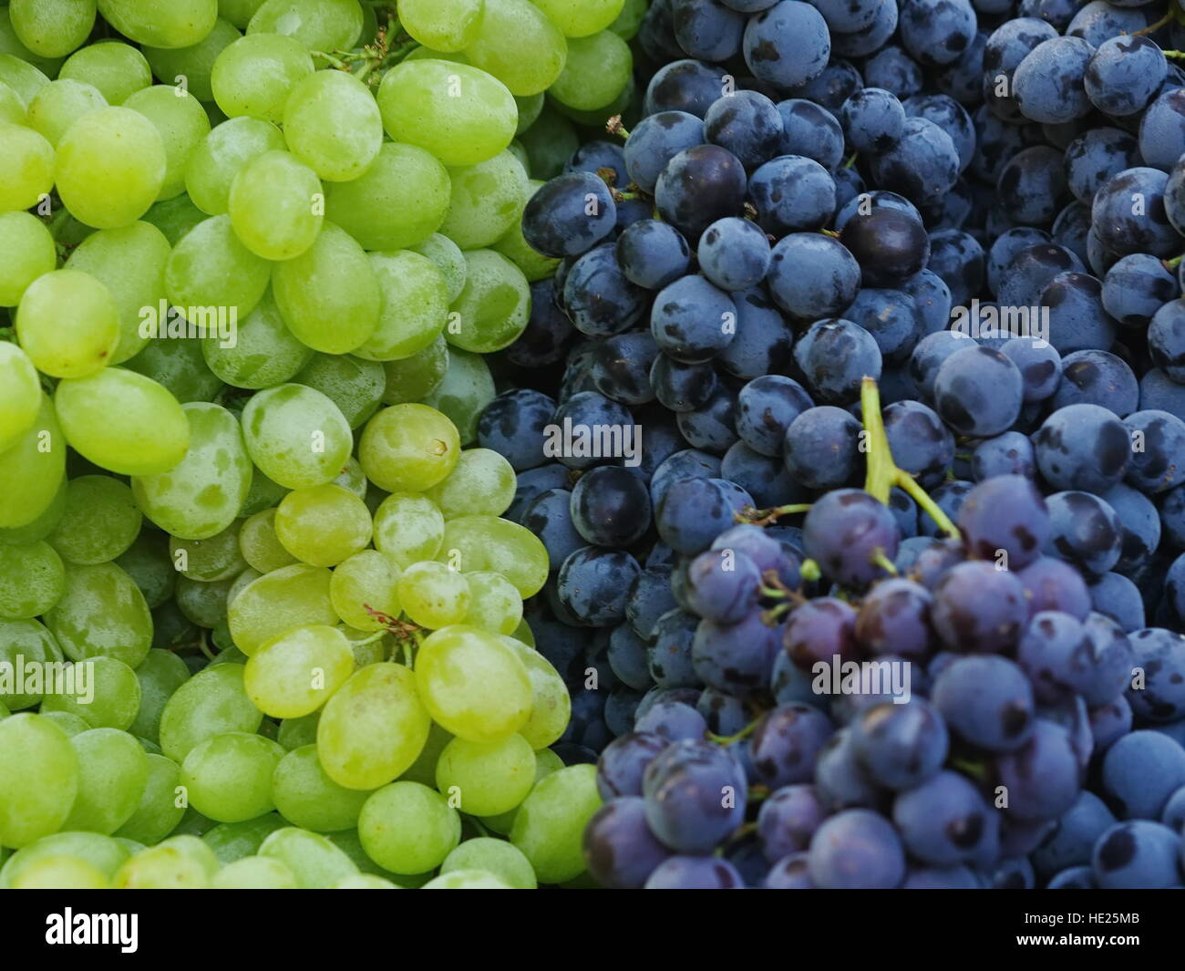 market red wine grapes Stock Photo Alamy