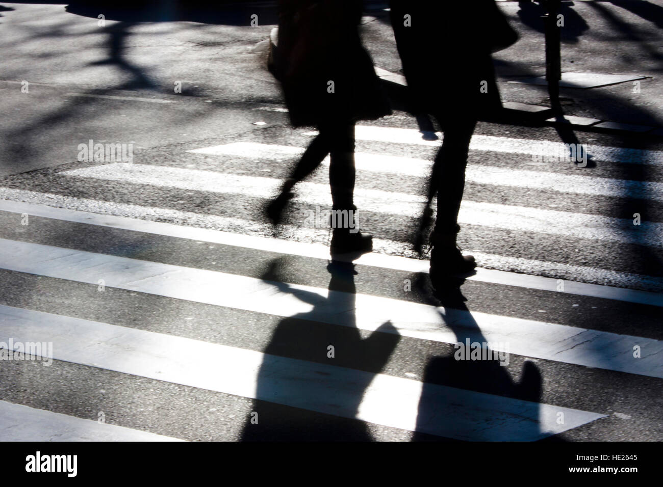 Blurry zebra crossing with two pedestrians making long shadows in the cold, windy and sunny winter in black and white Stock Photo