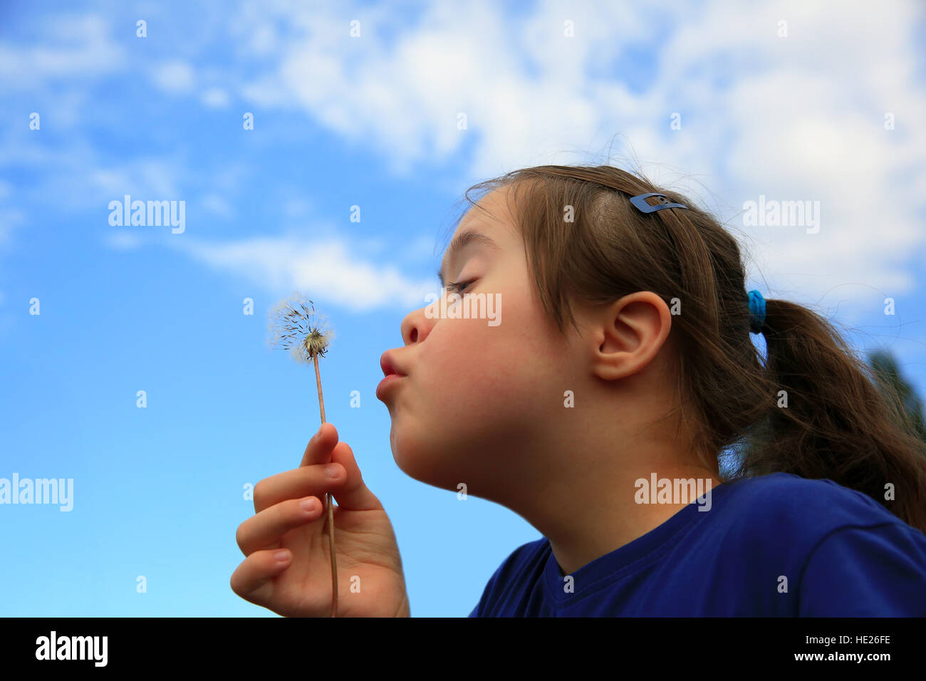 Little girl blowing dandelion Stock Photo