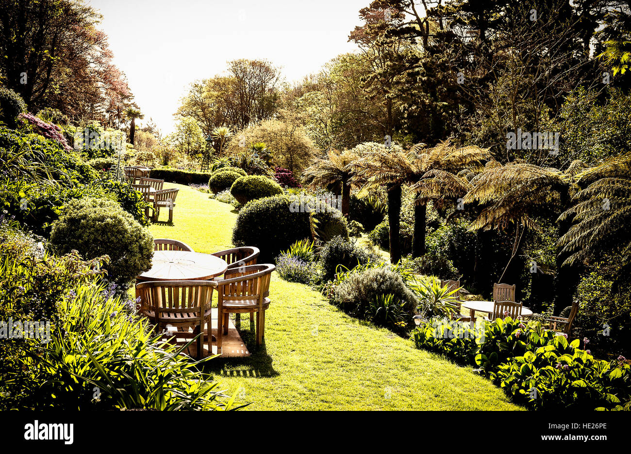 Terrace garden at the Meudon hotel Cornwall UK Stock Photo