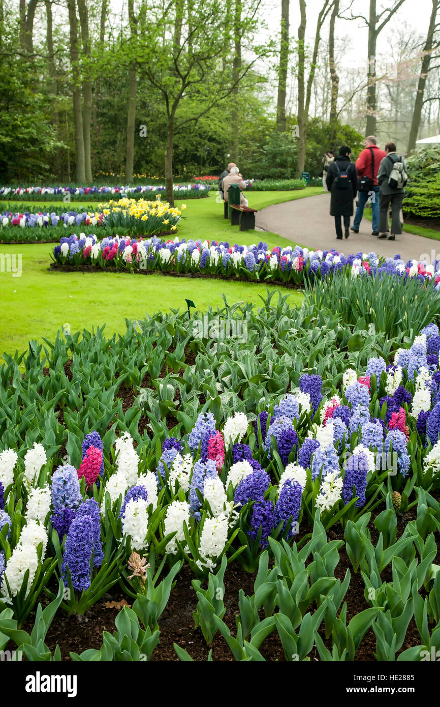 Gardens and tourists, Keukenhof Gardens, near Lisse, Netherlands Stock Photo