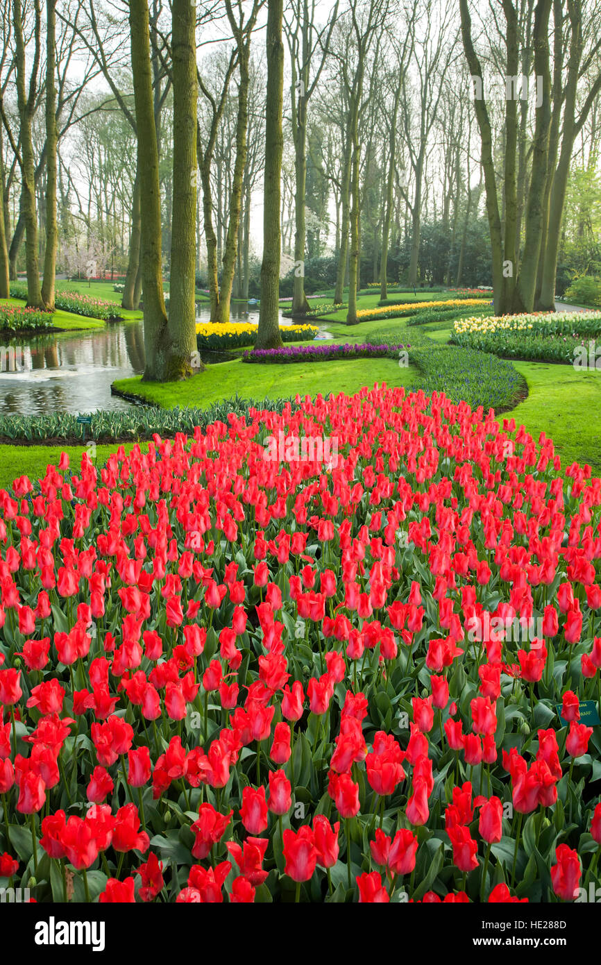 Gardens and pond, Keukenhof Gardens, near Lisse, Netherlands Stock Photo