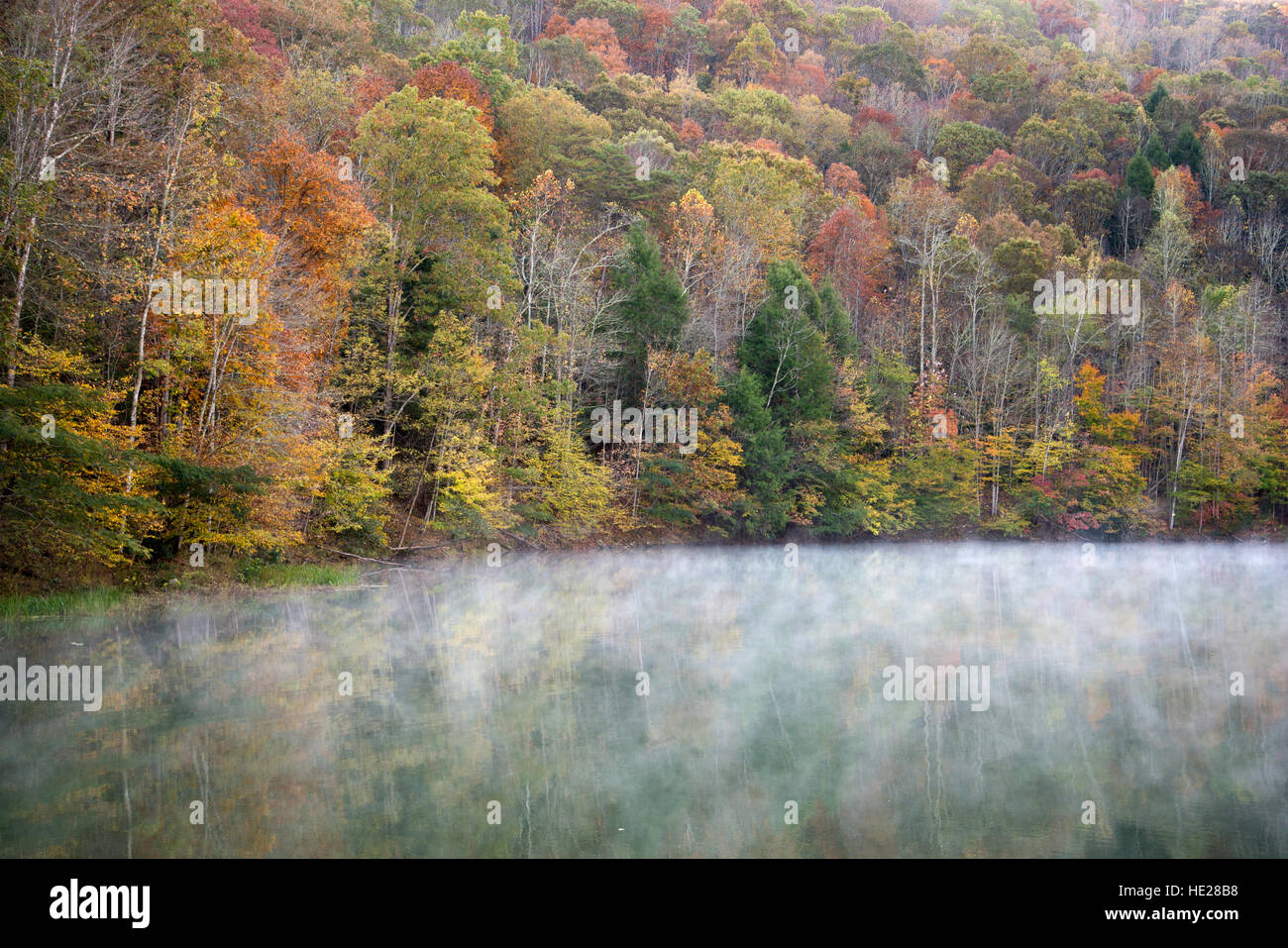 Fog lifts from the water on Cranks Creek Lake near Cranks, Kentucky