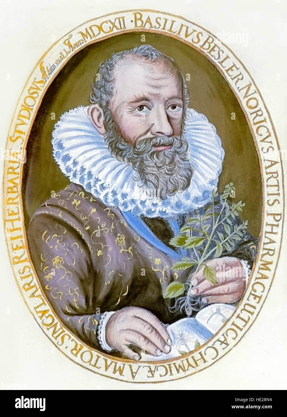 Hand colored portrait of Basilius Besler (1561–1629) Nuremberg apothecary and botanist who published Hortus Eystettensis in 1613. Stock Photo