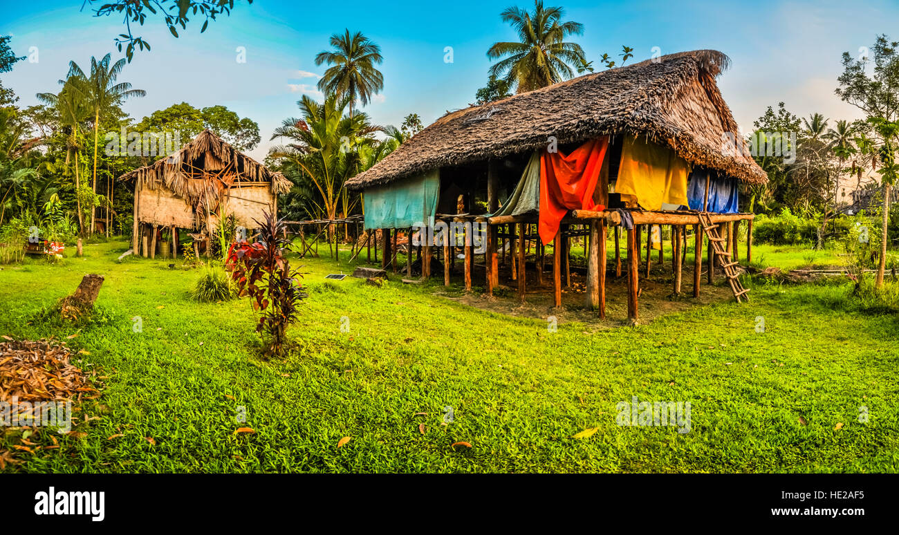 Photo of simple houses made of straw and wood in Avatip, Sepik river in Papua New Guinea. In this region, one can only meet people from isolated local Stock Photo
