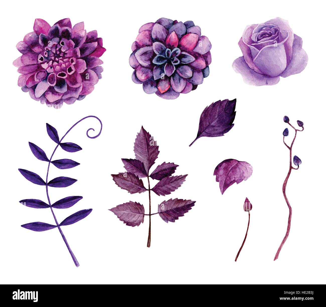 Watercolor Purple Flowers Vector Clipart Floral Clip Art Stock Vector Image Art Alamy
