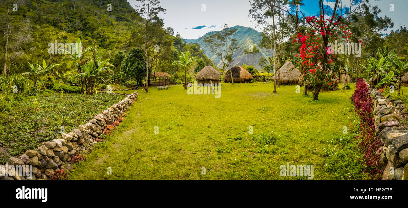 Photo of traditional houses in village surrounded by greenery in Dani circuit near Wamena, Papua, Indonesia. In this region, one can only meet people  Stock Photo