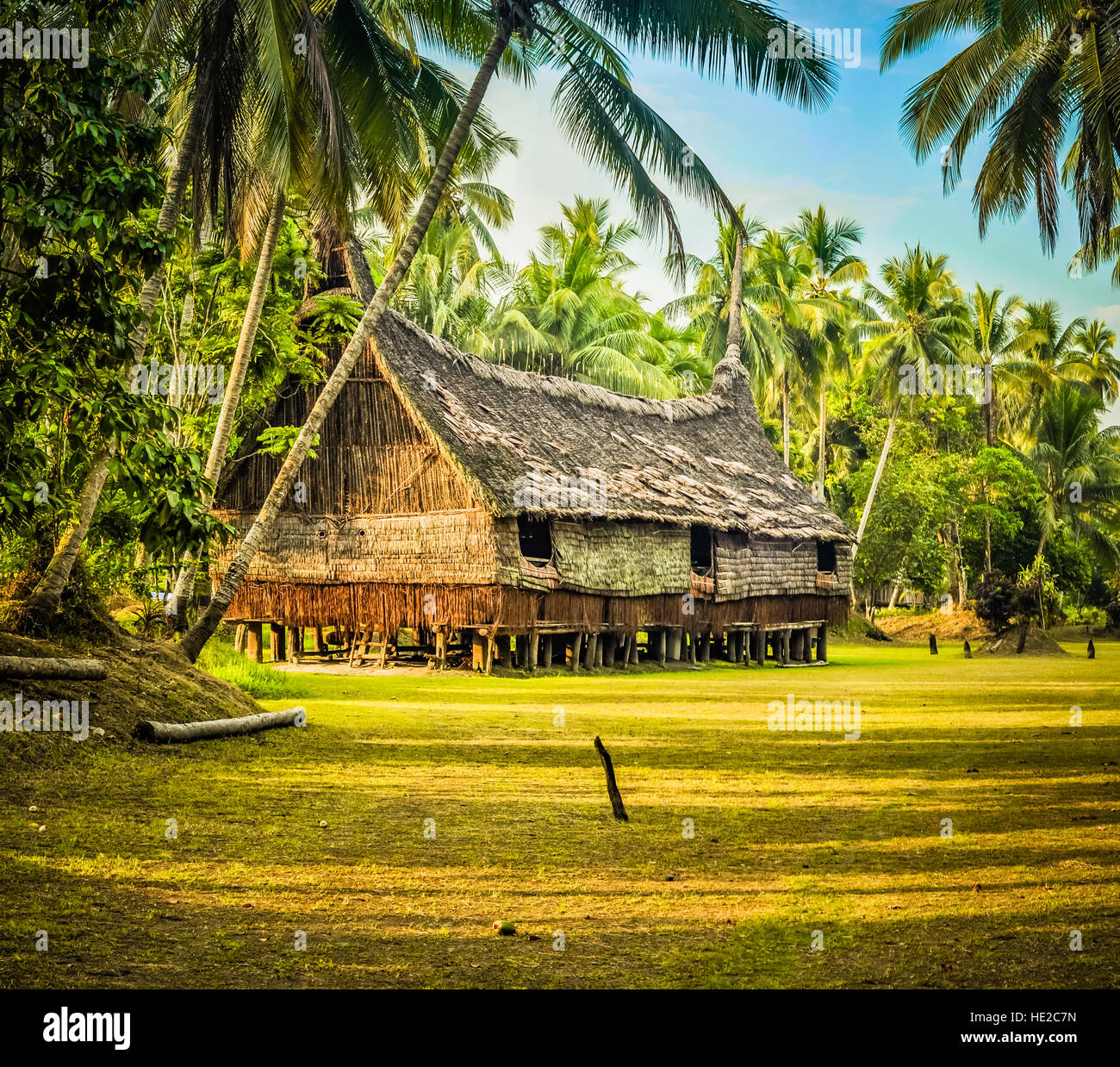 Large house made of straw and wood surrounded by greenery in Palembe, Sepik river in Papua New Guinea. In this region, one can only meet people from i Stock Photo