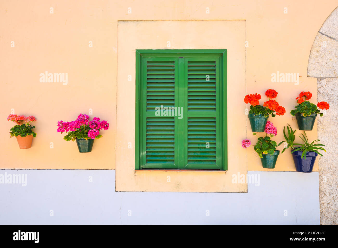 Green window shutters with a wall with blooming flowers Stock Photo