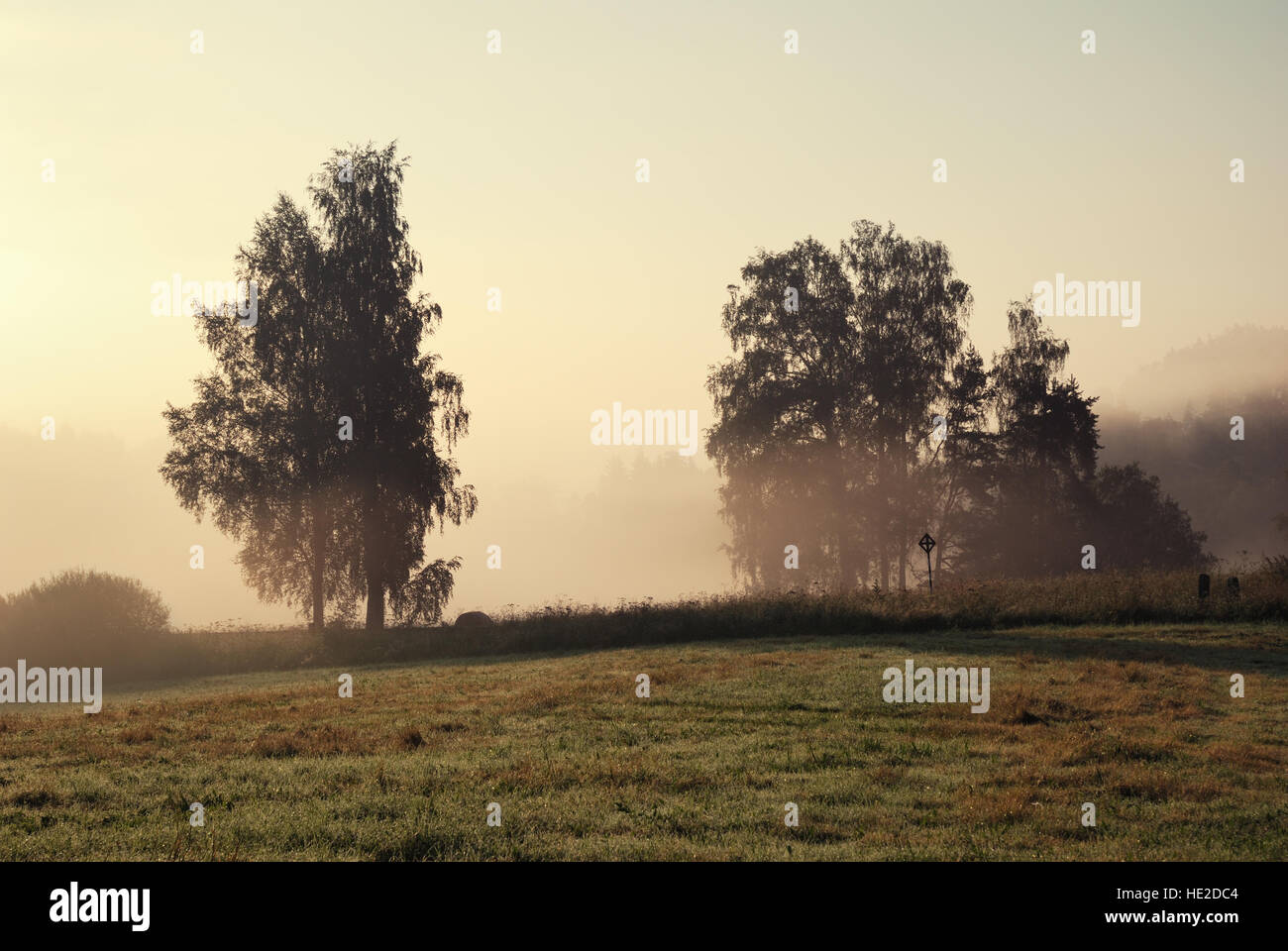 Dense fog minimal light cover hi-res stock photography and images - Alamy