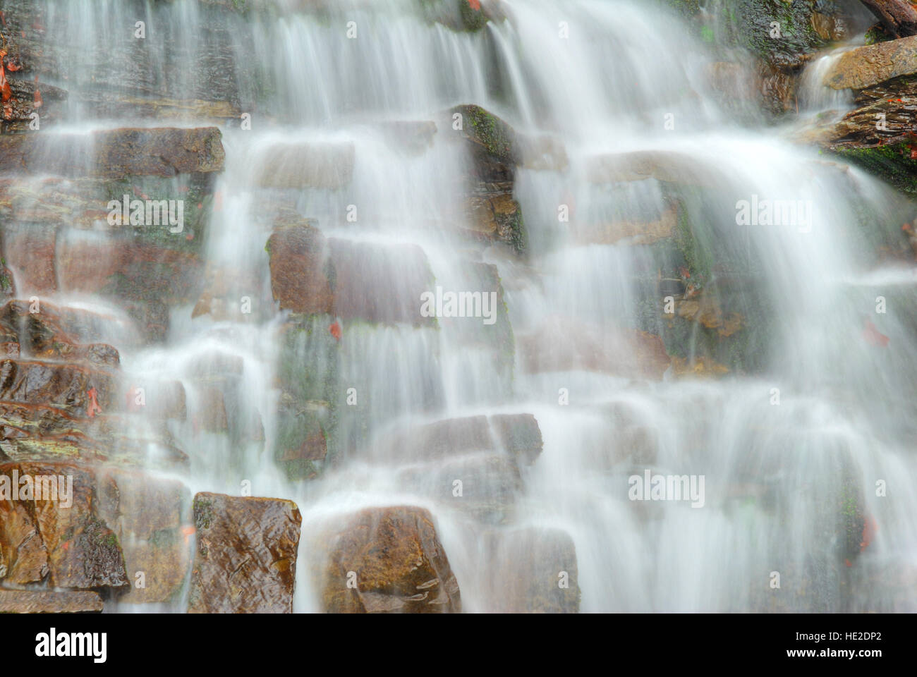 Water flowing over rocks in waterfall cascade in a forest Stock Photo ...