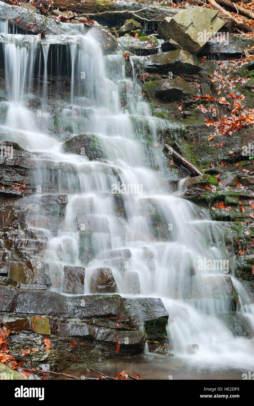 Water flowing over rocks in waterfall cascade in a forest Stock Photo ...