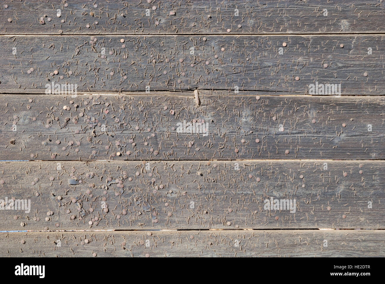 Part of an old wooden gate with many nails Stock Photo Alamy