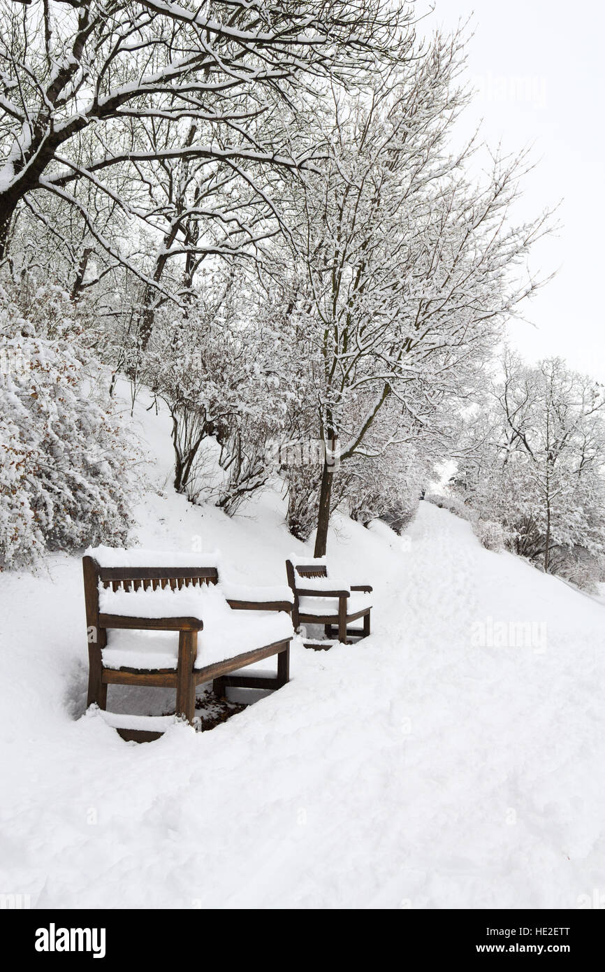 Forest park with benches covered in heavy snow Stock Photo - Alamy