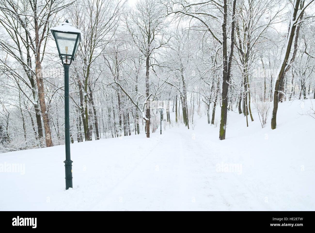 Street lamp and forest park covered in deep snow Stock Photo - Alamy