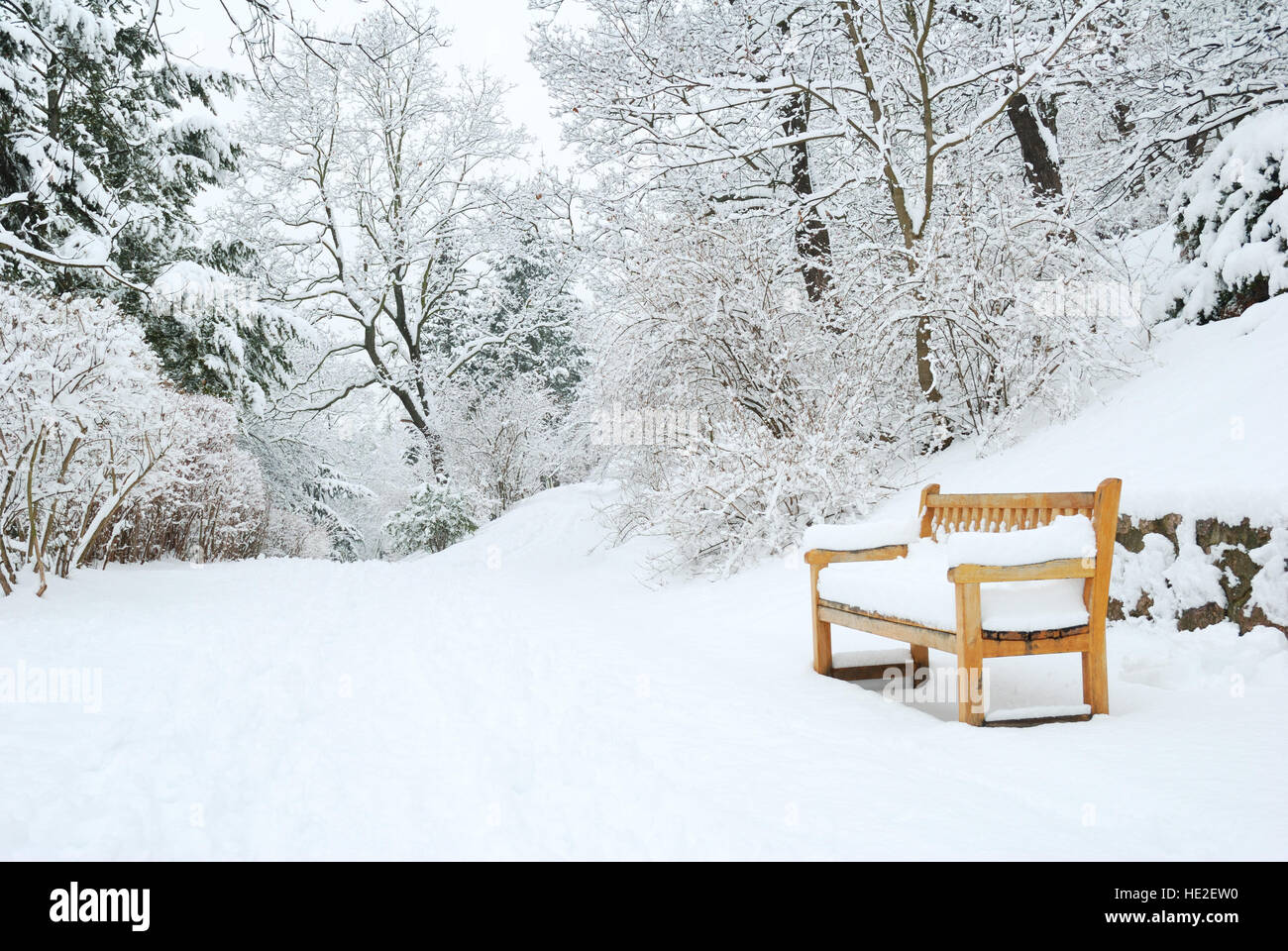 Park bench and trees covered by heavy snow Stock Photo - Alamy